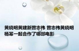 黄晓明黄建新曾志伟 曾志伟黄晓明杨幂一起合作了哪部电影