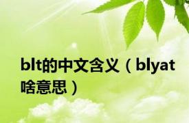 blt的中文含义（blyat啥意思）