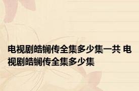 电视剧皓镧传全集多少集一共 电视剧皓镧传全集多少集