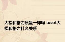 大松和格力质量一样吗 tosot大松和格力什么关系