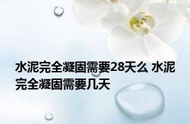 水泥完全凝固需要28天么 水泥完全凝固需要几天