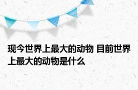 现今世界上最大的动物 目前世界上最大的动物是什么