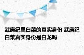 武庚纪里白菜的真实身份 武庚纪白菜真实身份是白龙吗