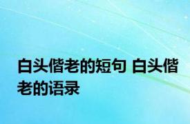 白头偕老的短句 白头偕老的语录