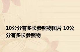 10公分有多长参照物图片 10公分有多长参照物