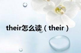 their怎么读（their）