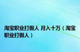 淘宝职业打假人 月入十万（淘宝职业打假人）