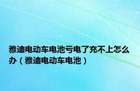 雅迪电动车电池亏电了充不上怎么办（雅迪电动车电池）