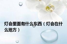 灯会里面有什么东西（灯会在什么地方）