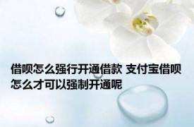 借呗怎么强行开通借款 支付宝借呗怎么才可以强制开通呢