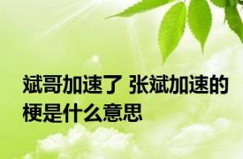 斌哥加速了 张斌加速的梗是什么意思