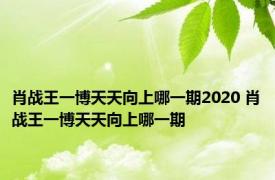 肖战王一博天天向上哪一期2020 肖战王一博天天向上哪一期