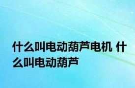 什么叫电动葫芦电机 什么叫电动葫芦