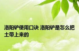 洛阳铲使用口诀 洛阳铲是怎么把土带上来的