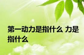 第一动力是指什么 力是指什么