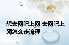 想去网吧上网 去网吧上网怎么走流程