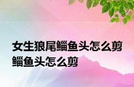 女生狼尾鲻鱼头怎么剪 鲻鱼头怎么剪