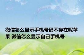 微信怎么显示手机号码不存在呢苹果 微信怎么显示自己手机号