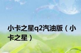 小卡之星q2汽油版（小卡之星）