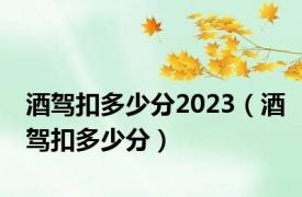 酒驾扣多少分2023（酒驾扣多少分）