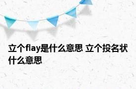 立个flay是什么意思 立个投名状什么意思