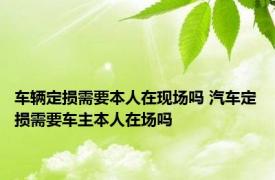 车辆定损需要本人在现场吗 汽车定损需要车主本人在场吗