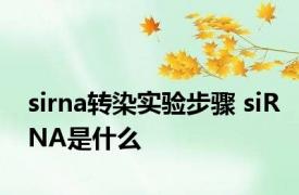 sirna转染实验步骤 siRNA是什么