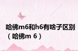 哈佛m6和h6有啥子区别（哈佛m 6）