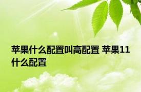 苹果什么配置叫高配置 苹果11什么配置