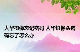 大华摄像忘记密码 大华摄像头密码忘了怎么办