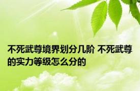 不死武尊境界划分几阶 不死武尊的实力等级怎么分的