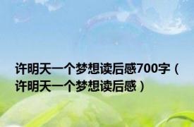 许明天一个梦想读后感700字（许明天一个梦想读后感）