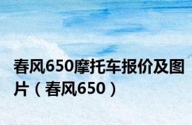 春风650摩托车报价及图片（春风650）