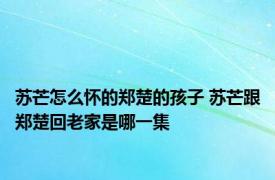 苏芒怎么怀的郑楚的孩子 苏芒跟郑楚回老家是哪一集