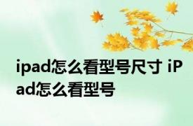 ipad怎么看型号尺寸 iPad怎么看型号