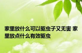 家里放什么可以驱虫子又无害 家里放点什么有效驱虫