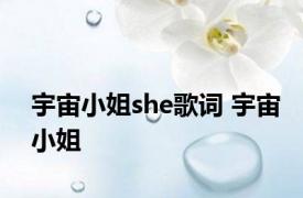 宇宙小姐she歌词 宇宙小姐 