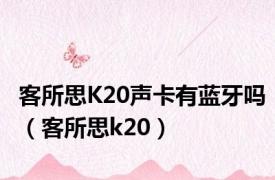 客所思K20声卡有蓝牙吗（客所思k20）