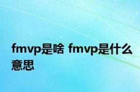 fmvp是啥 fmvp是什么意思