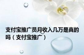 支付宝推广员月收入几万是真的吗（支付宝推广）