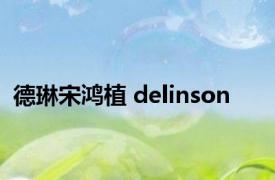 德琳宋鸿植 delinson 