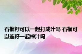 石榴籽可以一起打成汁吗 石榴可以连籽一起榨汁吗