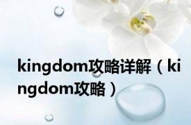 kingdom攻略详解（kingdom攻略）