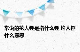 常说的抡大锤是指什么锤 抡大锤什么意思