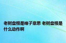 老树盘根是啥子意思 老树盘根是什么动作啊