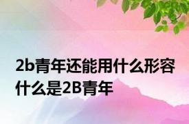 2b青年还能用什么形容 什么是2B青年