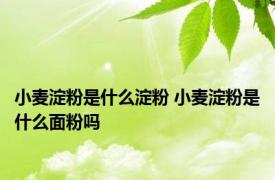 小麦淀粉是什么淀粉 小麦淀粉是什么面粉吗