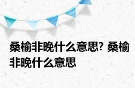 桑榆非晚什么意思? 桑榆非晚什么意思