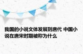 我国的小说文体发展到唐代 中国小说在唐宋时期被称为什么