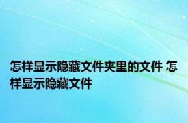 怎样显示隐藏文件夹里的文件 怎样显示隐藏文件